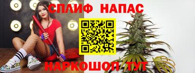 сатива Будённовск