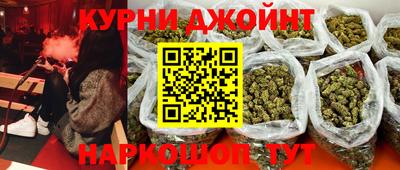 сатива Будённовск