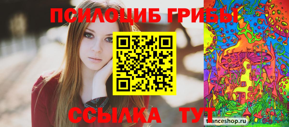 Псилоцибиновые грибы Psilocybe  Вход с VPN  Ростов-на-Дону 